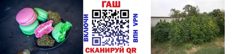 купить наркоту  Троицк  Еда ТГК конопля 