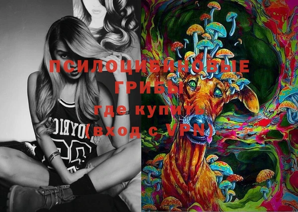 первитин Алексеевка