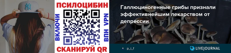 Псилоцибиновые грибы Magic Shrooms  купить  цена  Троицк 