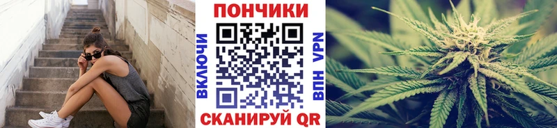 Шишки марихуана Bruce Banner  где можно купить наркотик  Троицк 
